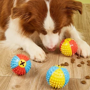 Puppy Training Toys