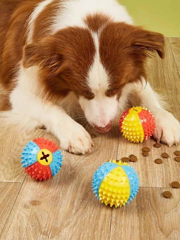 Puppy Training Toys