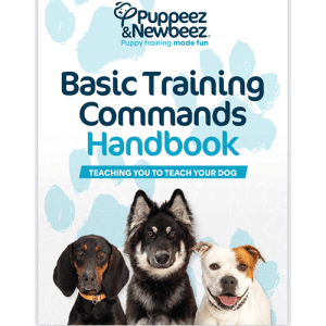 puppy training handbook