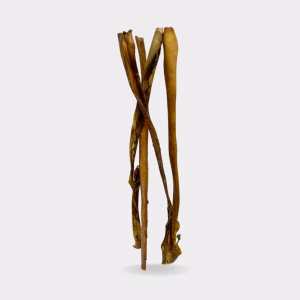 Long Camel Skin