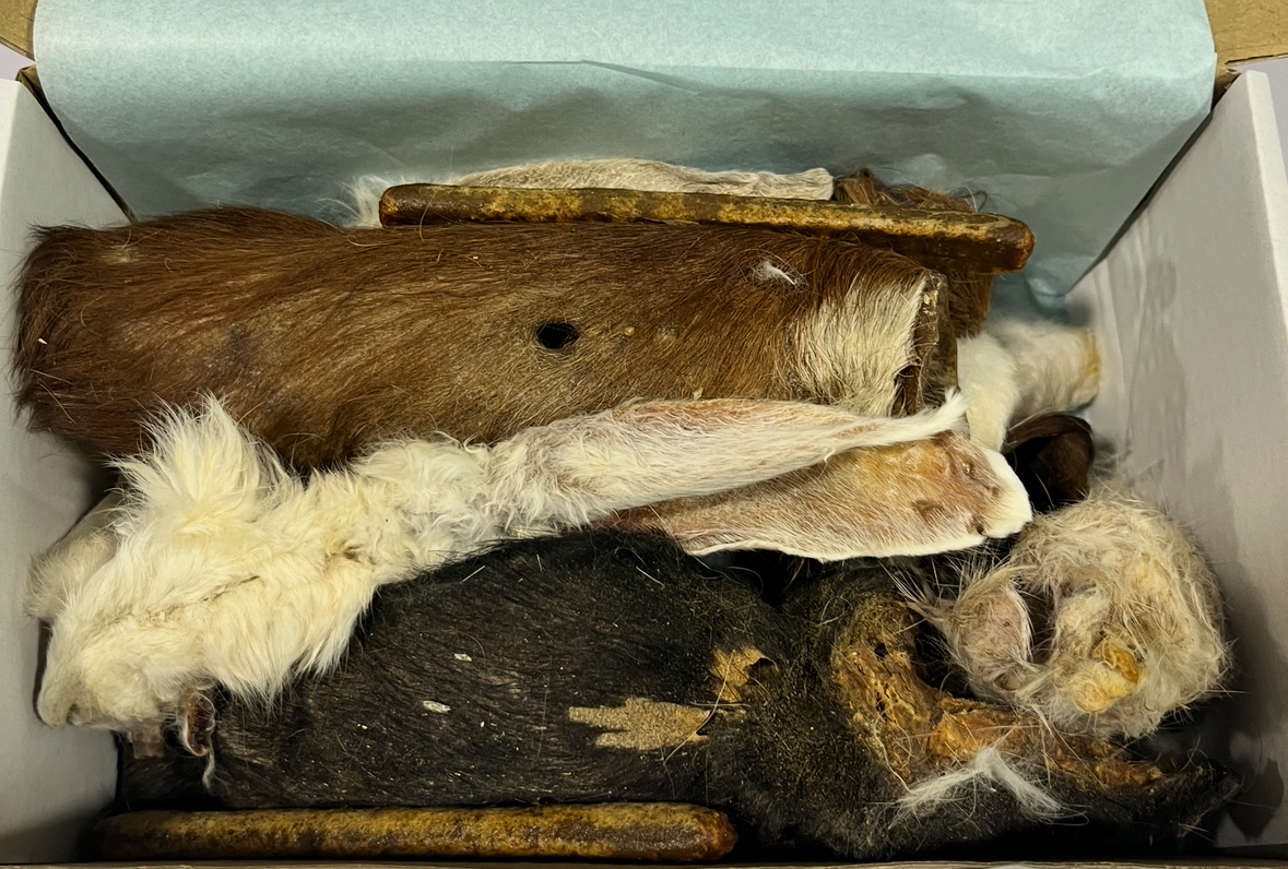 Fur - Natural Air Dried Chew Treat Box - Image 2