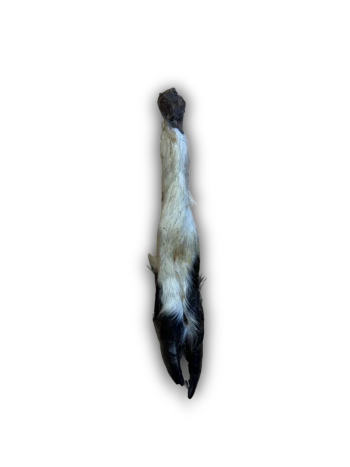 Anco Lamb Trotter with Fur